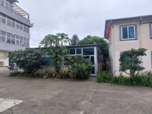 wholesale-ethiopian-coffee-uk-export-logistics-yard