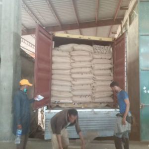 Workers loading burlap sacks of specialty Arabica into a shipping container for Wholesale Ethiopian Coffee UK export.