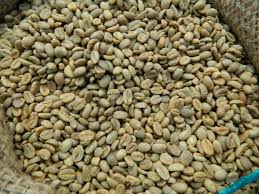 Ethiopian Harrar Coffee Beans