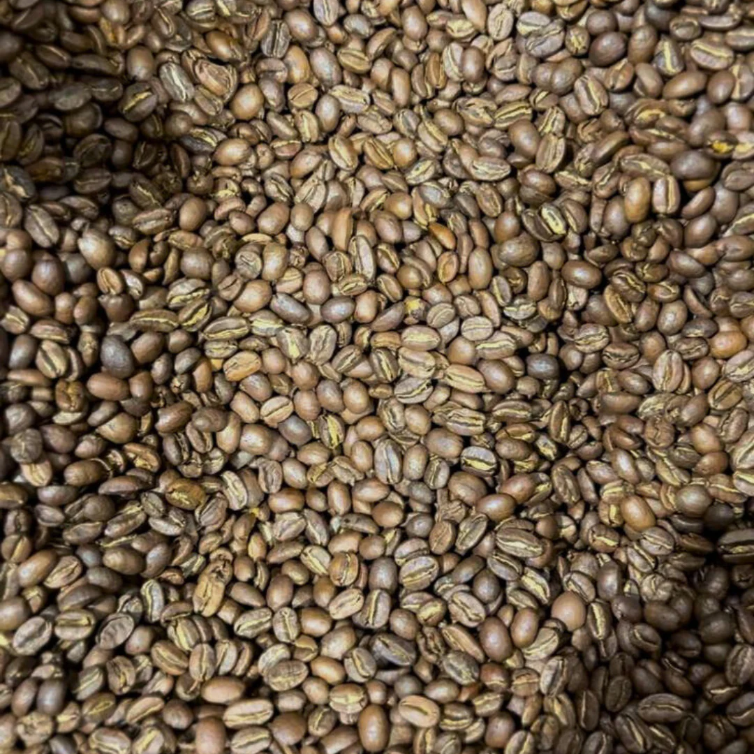 Untitled_design_5_907a6139-2ade-4f15-b254-42161b5bf71c