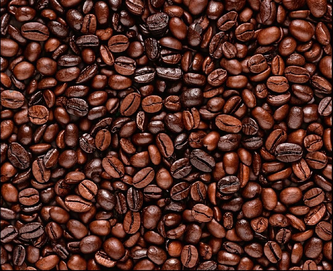 WhatsApp Image 2026-04-15 at 22.44