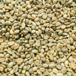 Wollega (Nekemte) Coffee Bean